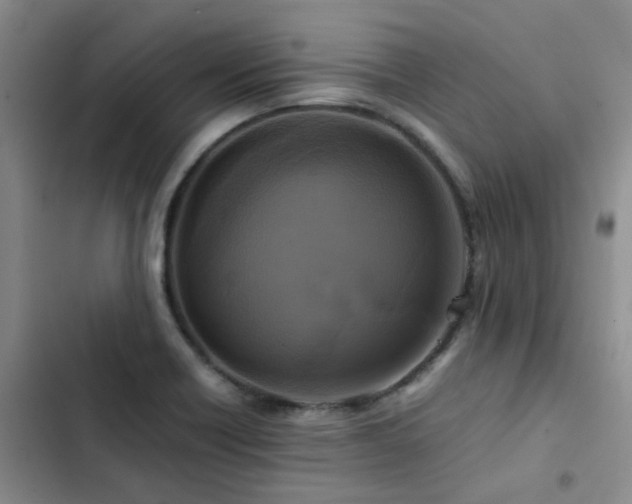 X0000102841418200808181337
