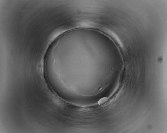 X0000102841419200808181337