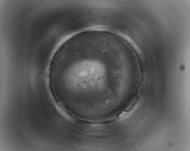 X0000102841421200808181337