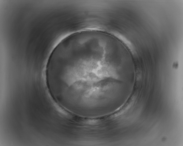 X0000102841423200808181337