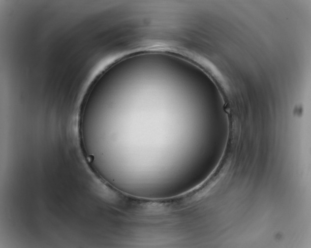 X0000102841424200808181337