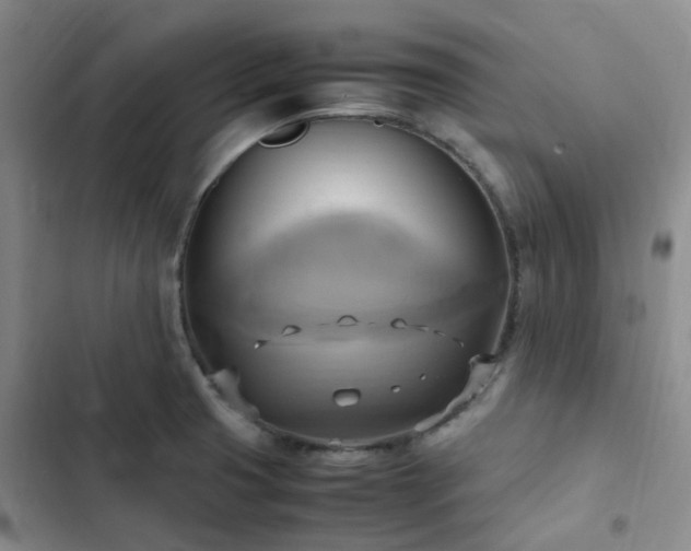 X0000102841425200808181337