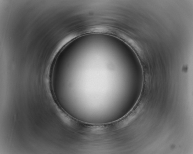 X0000102841426200808181337