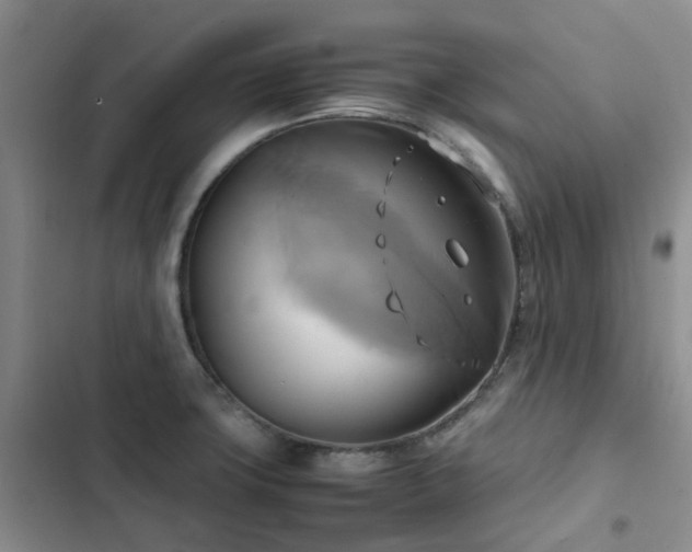 X0000102841427200808181337