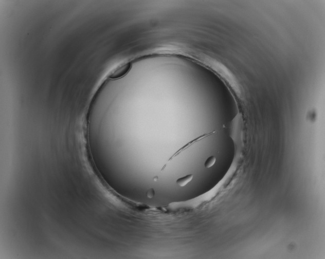 X0000102841428200808181337