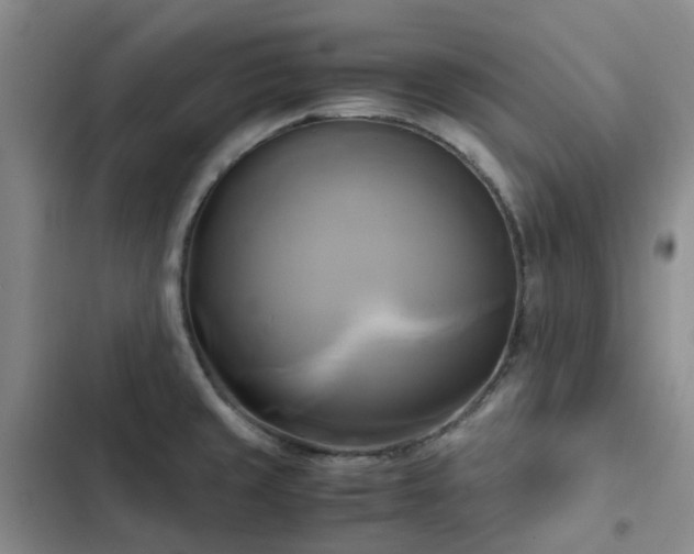 X0000102841429200808181337