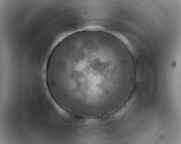 X0000102841430200808181337