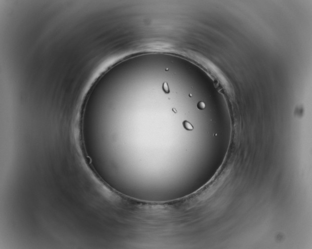 X0000102841432200808181337