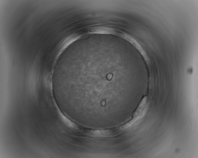X0000102841433200808181337