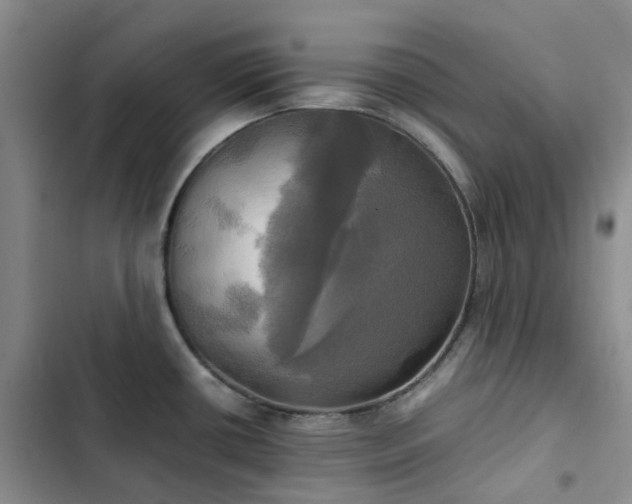 X0000102841434200808181337