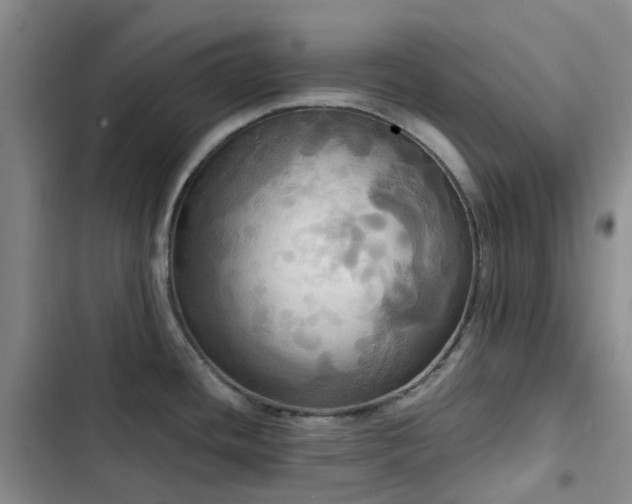 X0000102841436200808181337