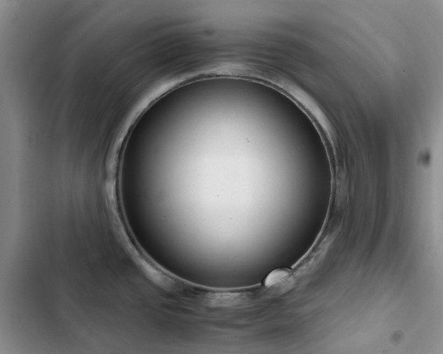 X0000102841437200808181337