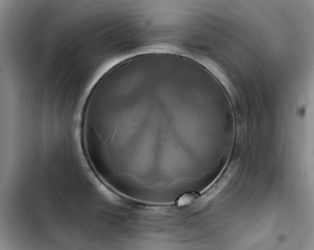 X0000102841438200808181337