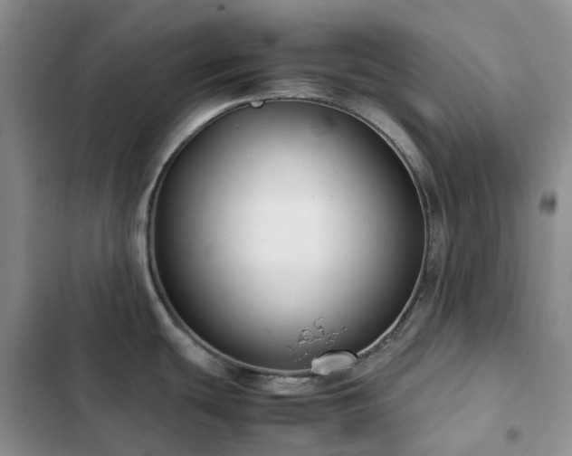 X0000102841439200808181337