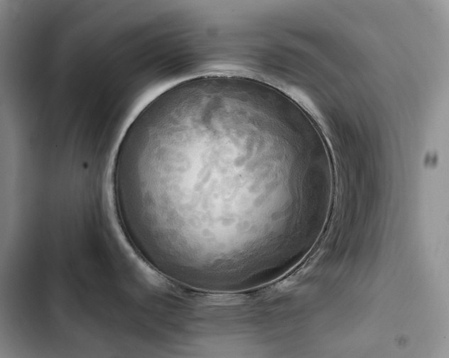 X0000102841440200808181337