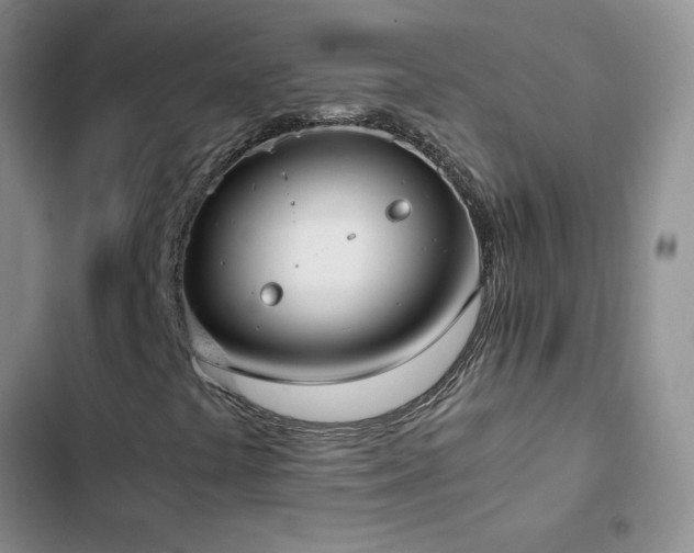 X0000102841441200808181336