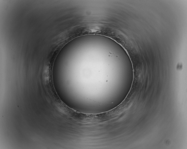 X0000102841442200808181336