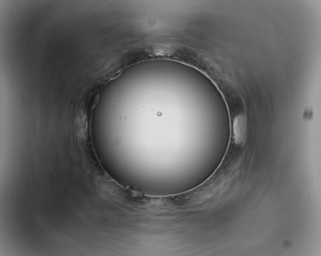 X0000102841443200808181336