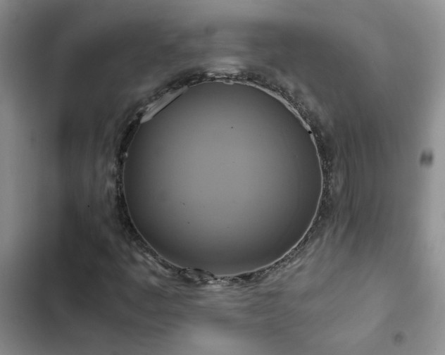 X0000102841445200808181336