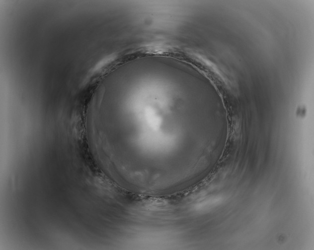 X0000102841446200808181336