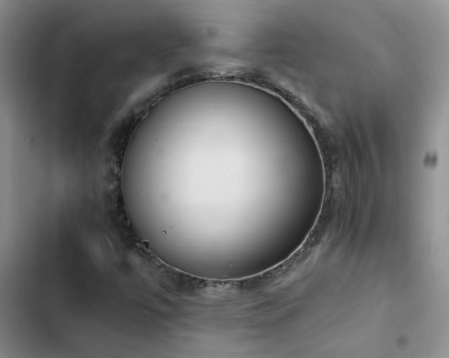 X0000102841447200808181336