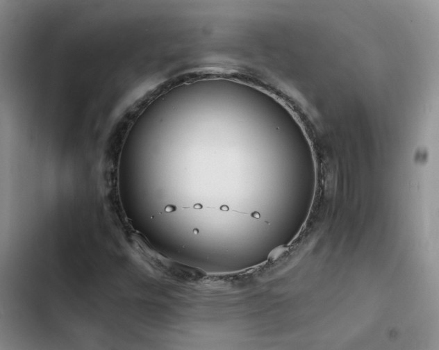 X0000102841448200808181336