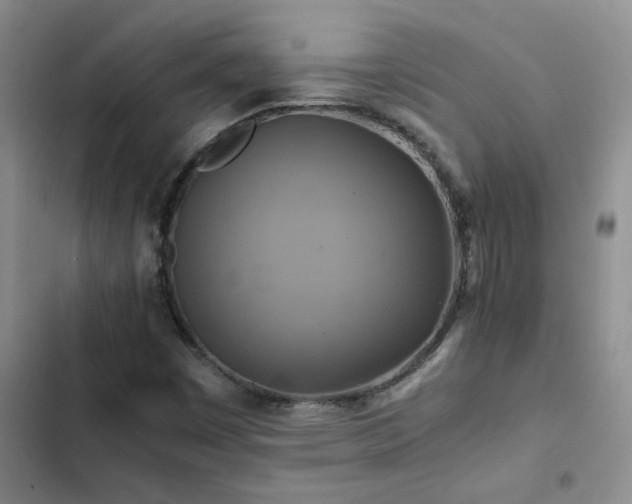 X0000102841449200808181336