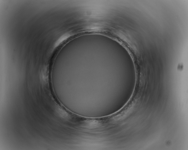 X0000102841450200808181336