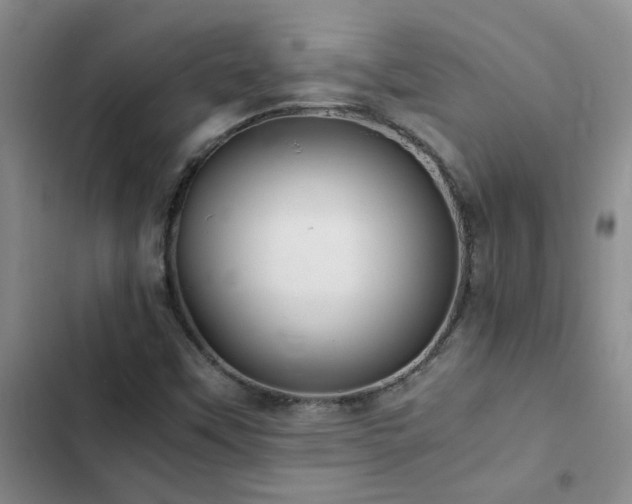 X0000102841451200808181336