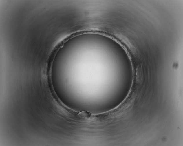 X0000102841452200808181336