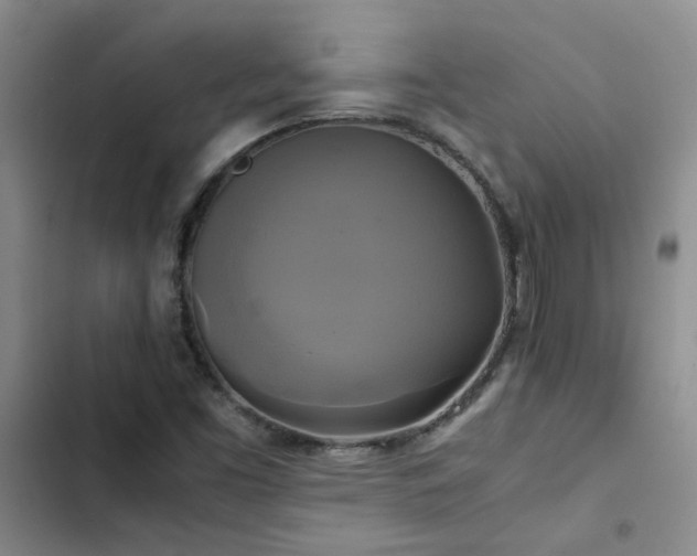 X0000102841453200808181336