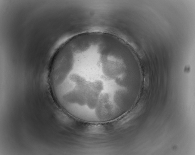 X0000102841454200808181336