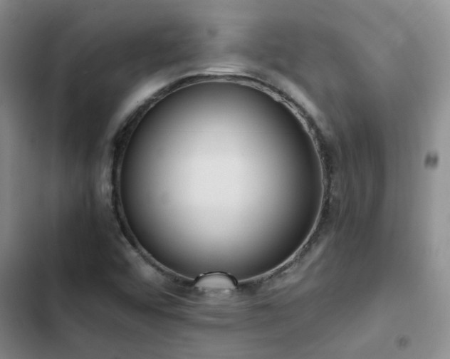 X0000102841456200808181336