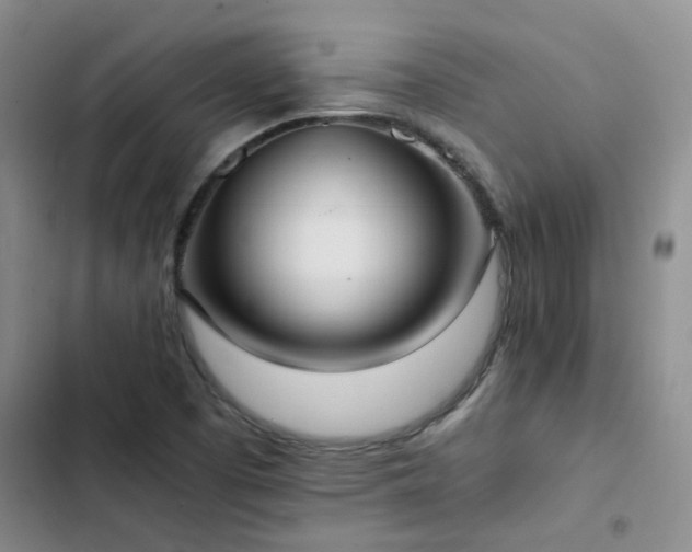 X0000102841457200808181336