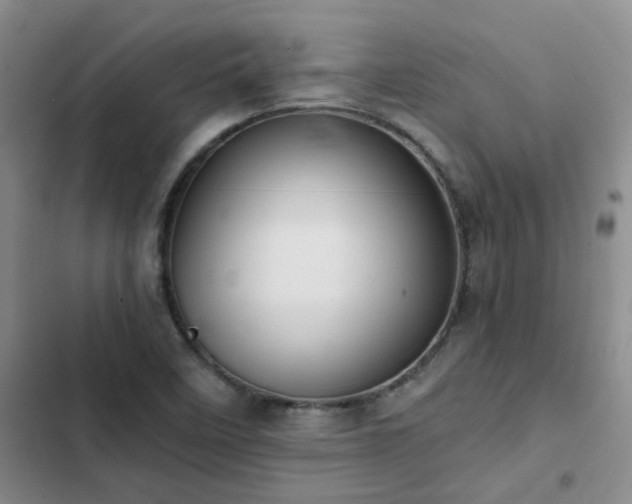 X0000102841458200808181336