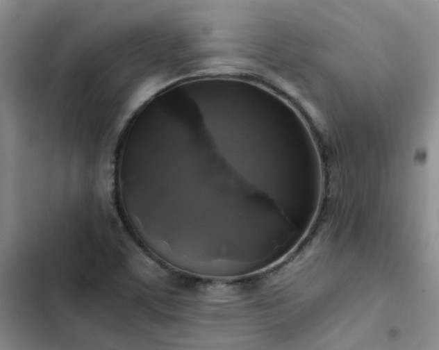X0000102841459200808181336
