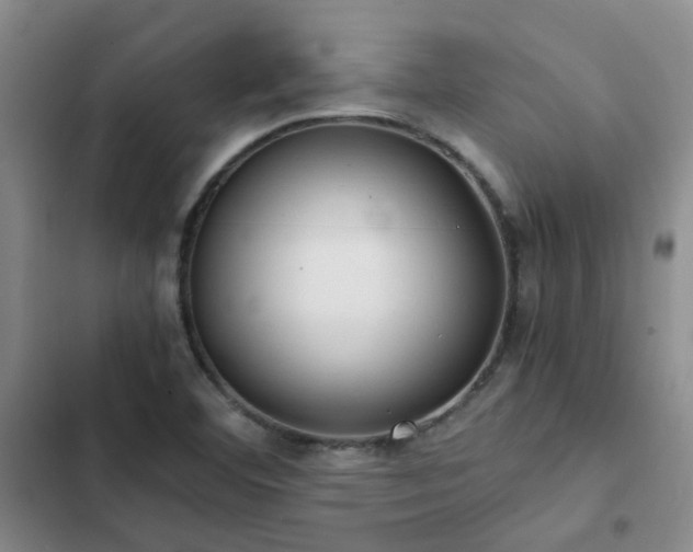 X0000102841460200808181336