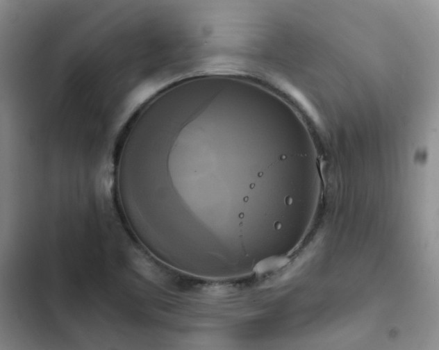 X0000102841461200808181336