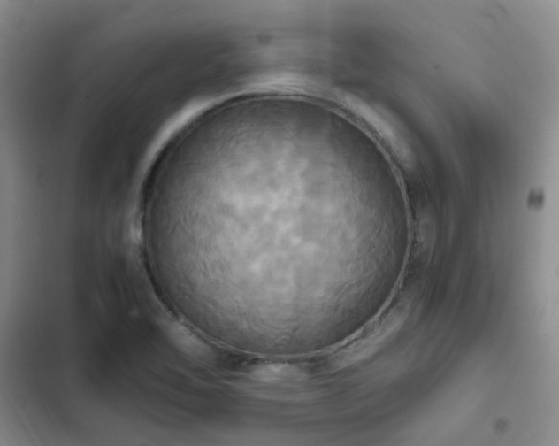 X0000102841462200808181336