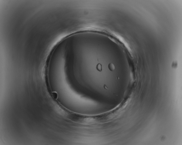 X0000102841463200808181336