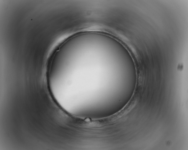 X0000102841464200808181336