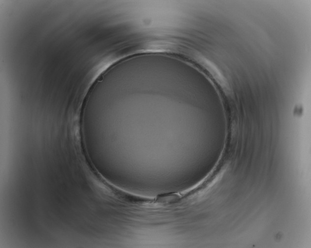 X0000102841465200808181336