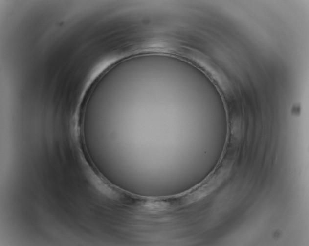 X0000102841466200808181336
