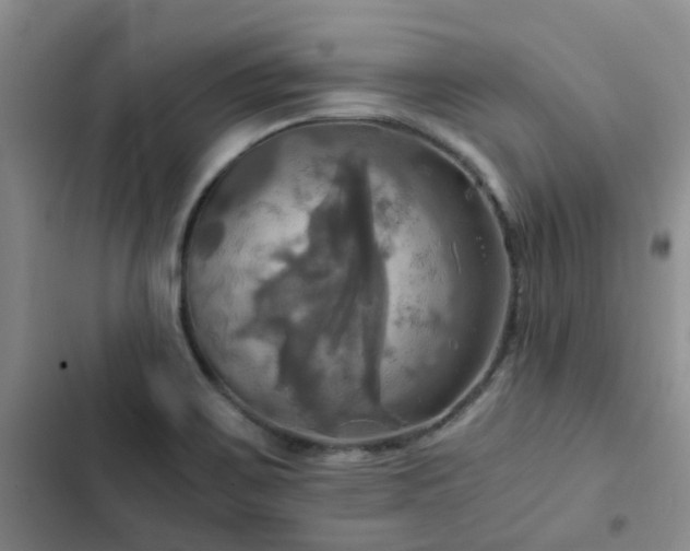 X0000102841467200808181336