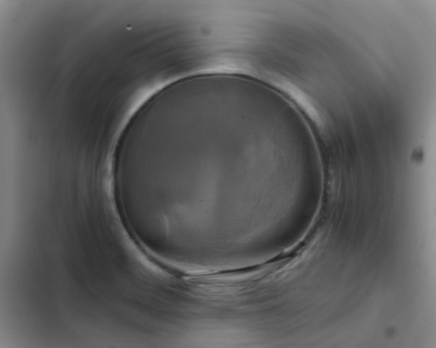 X0000102841468200808181336