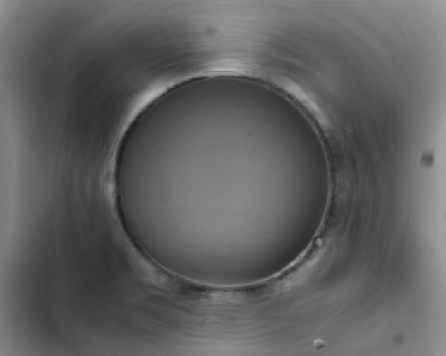 X0000102841469200808181336