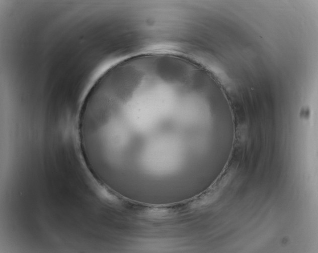 X0000102841470200808181336