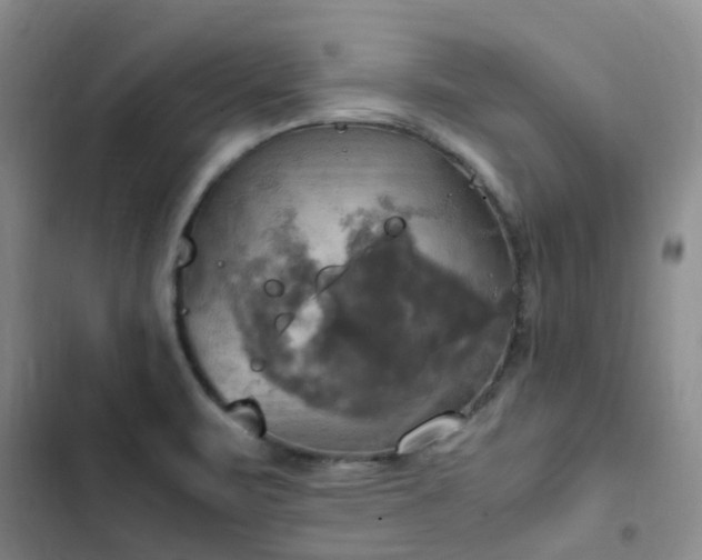 X0000102841471200808181336