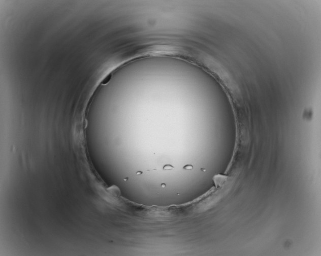 X0000102841473200808181336