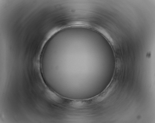 X0000102841474200808181336